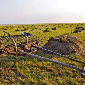 намар хадлан