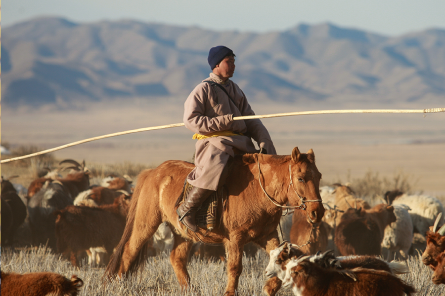 Discover the Nomads of Mongolia