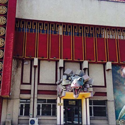 The Natural History Museum