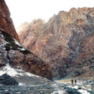 Screenshot 2026-01-25 031233