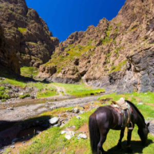 Screenshot 2026-01-25 031313