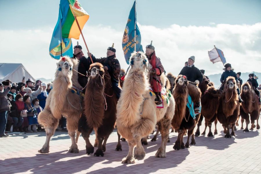 Camel Trekking /Thousand Camel Festival/