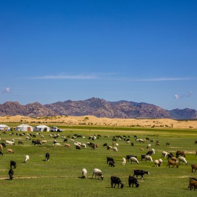 Central Mongolia