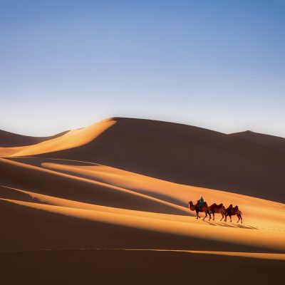 Gobi desert