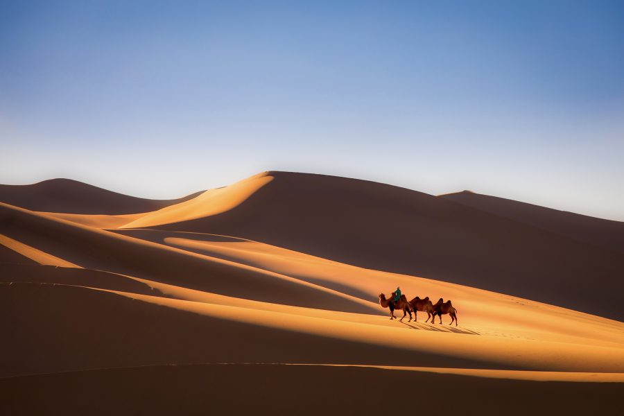 Luxuries Discovery Of The Blue Pearl Of Mongolia