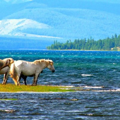 Renchinlkhümbe Village