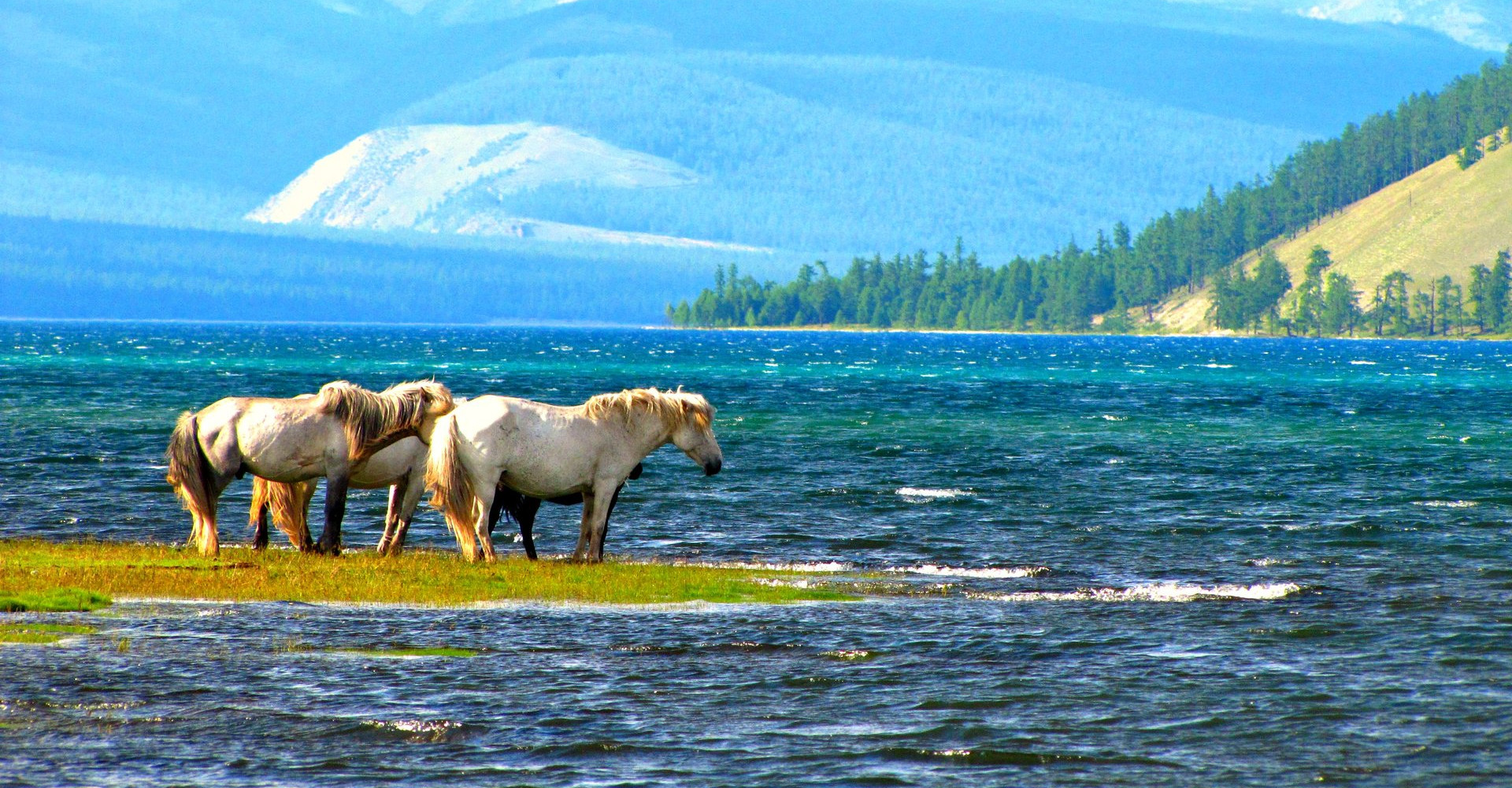Renchinlkhümbe Village