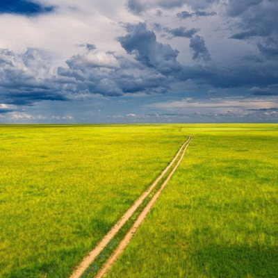 The Dornod Mongol Steppes