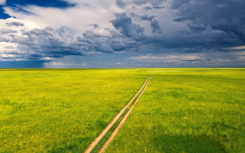 The Dornod Mongol Steppes