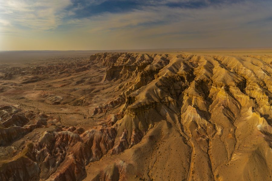 THE GOBI AND THE FOREST