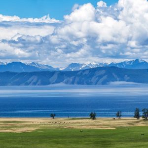 new_b6ee43a9f2a4a7e1b8f87d5926190621575c1d25