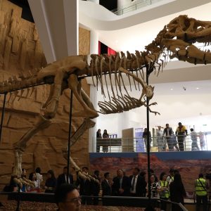 Даланзадгад динозавар