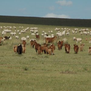 06 0821 16_53_51 元