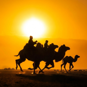 Gemini_Generated_Image_bm7mrebm7mrebm7m