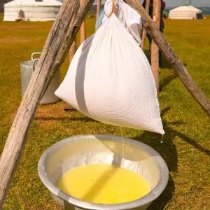 6-Day Tour: The Buryat Dairy & Cow Herding Expedition аарц шүүх
