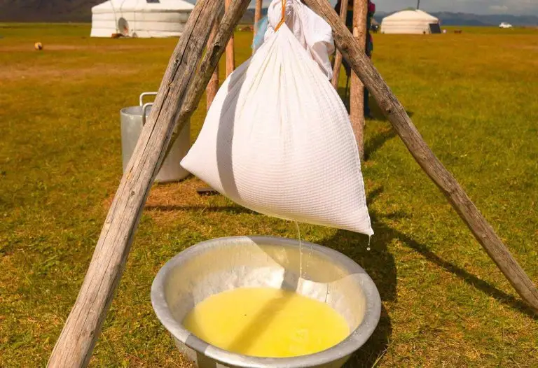аарц шүүх Azarra Discover Mongolia