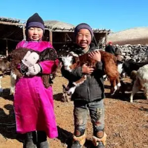 6-Day Tour: The Buryat Dairy & Cow Herding Expedition little herders